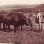 Figure 4: My great great uncle, H B Newmarch, on his Greytown farm