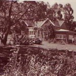 Figure 1  Henry Bernard Newmarch's farm, Wonderboom, in Greytown, Kwa Zulu, SA