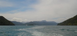 Queen Charlotte's Sound