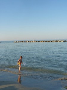 The beach