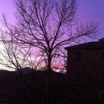 The far far far away peak of Gran Sasso, ski slopes above Ascoli Piceno, Monte Ascencione, the Sibillini mountains and the tree in my garden