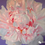 Flower16 (big pink Peony) by Piers Williams